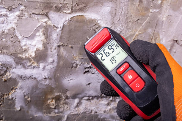 Attic Mold Removal in Stallings, NC