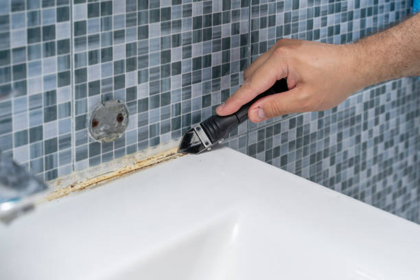Home Mold Removal in Stallings, NC